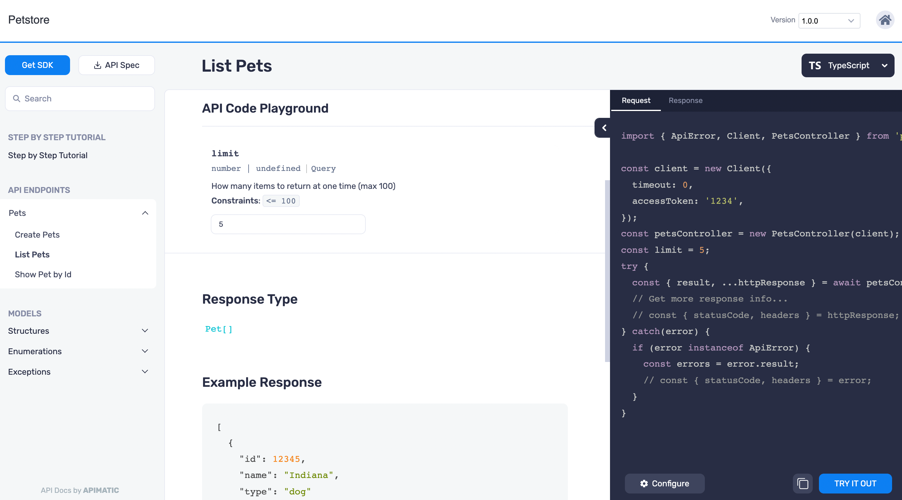 APIMatic custom branding